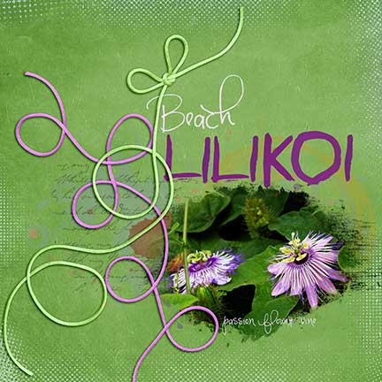 beach lilikoi
