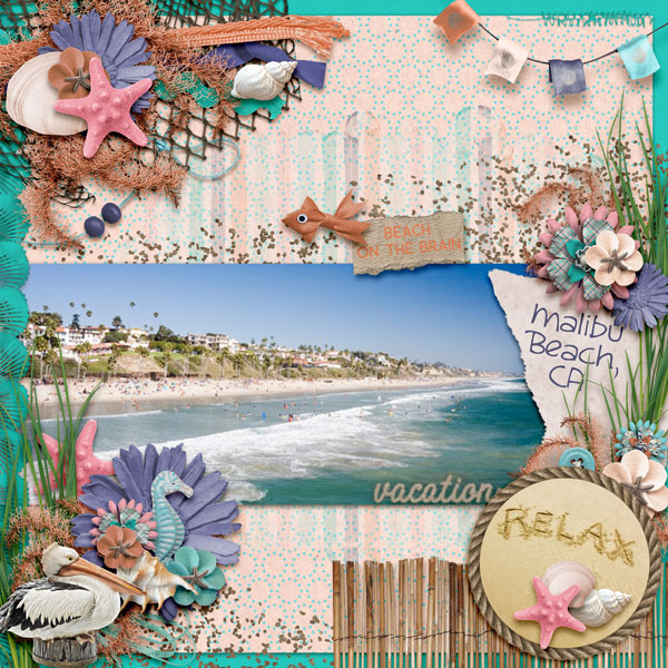 Beach On The Brain