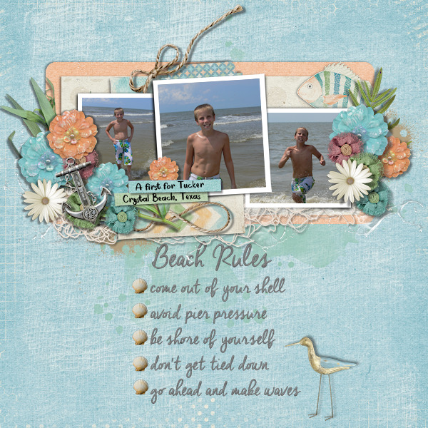 Beach Rules