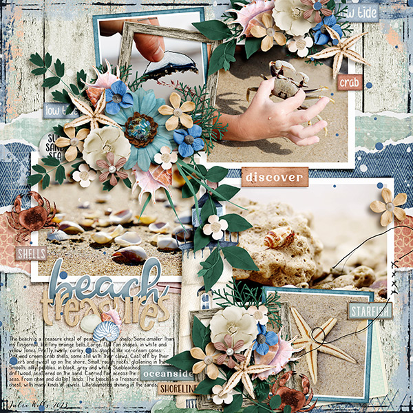 beach treasures