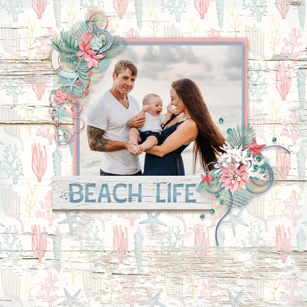 Beach Vibes-LDrag