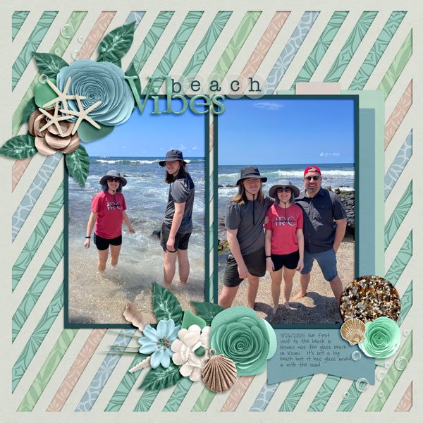 Beach Vibes