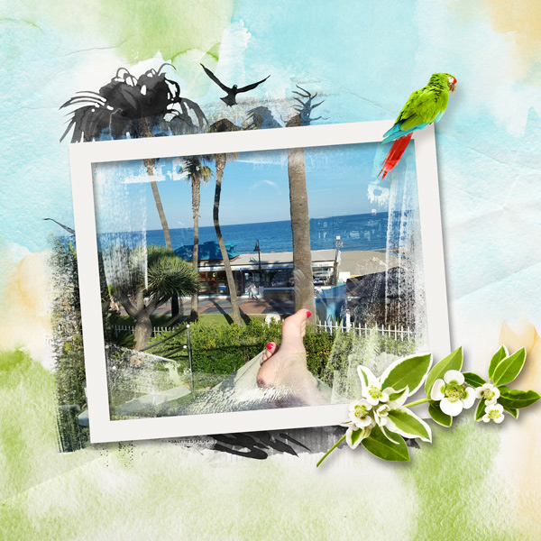 beach view