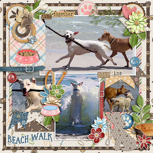 Beach Walk