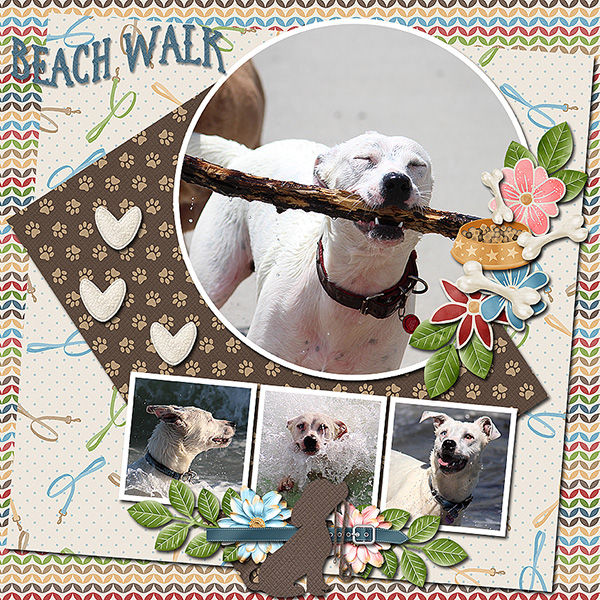 Beach Walk