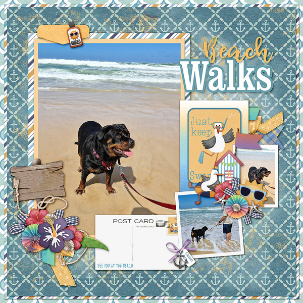 Beach Walks
