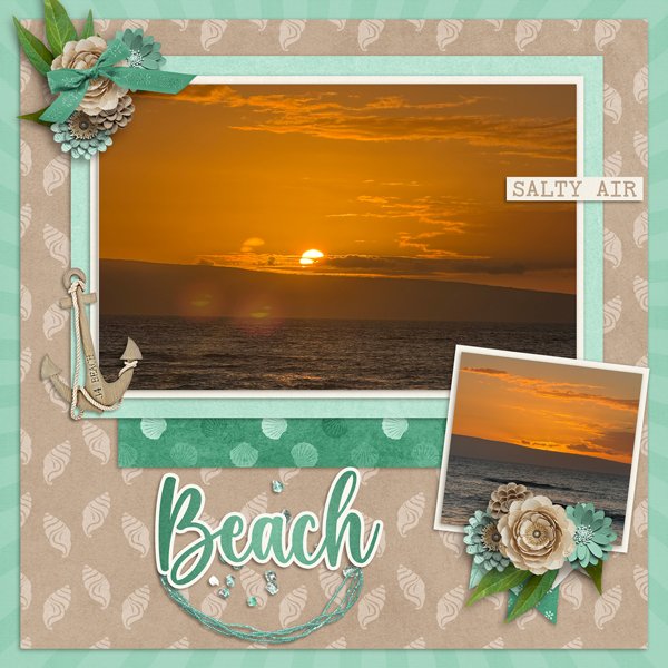 Beach-web.jpg