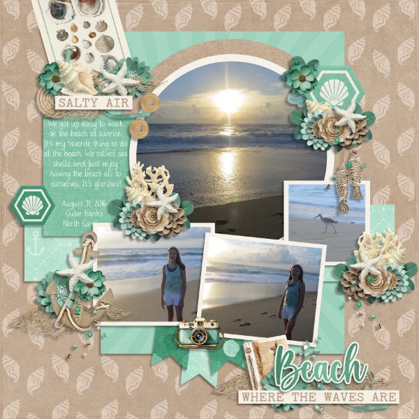 Beach- Where the Waves Are