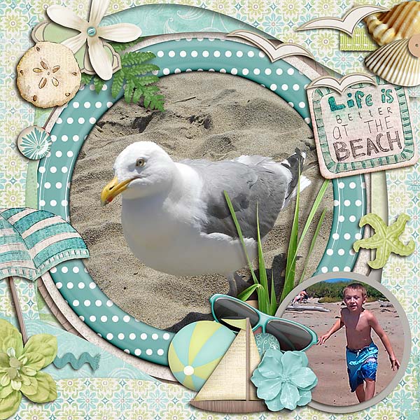 Beach