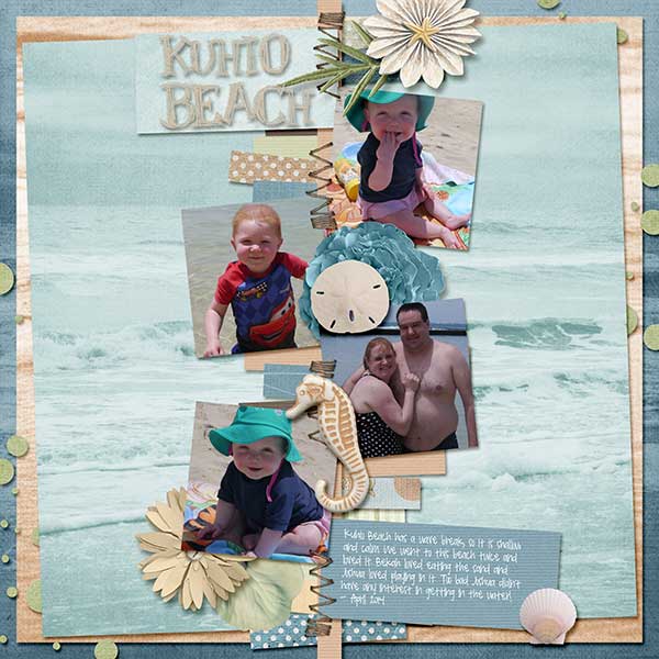 Beach_NS_AimeeH_KuhioBeachWEB