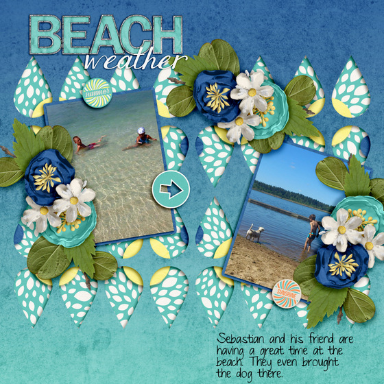 Beach_weather