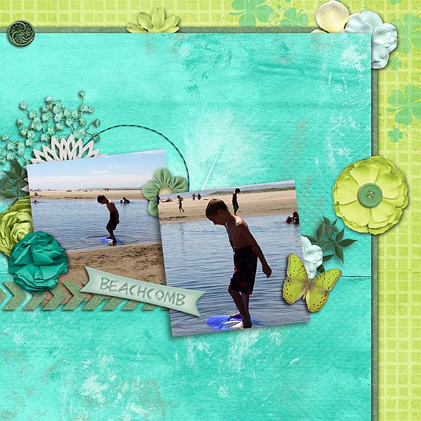 Beachcomb