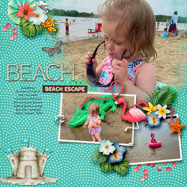Beachology