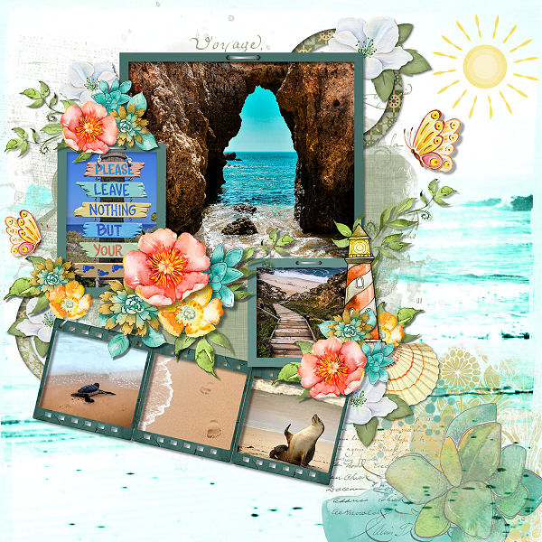 Beachside Collection by ADB Designs