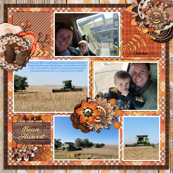 Bean Harvest