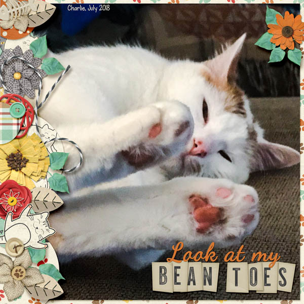 Bean Toes