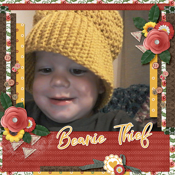 Beanie Thief