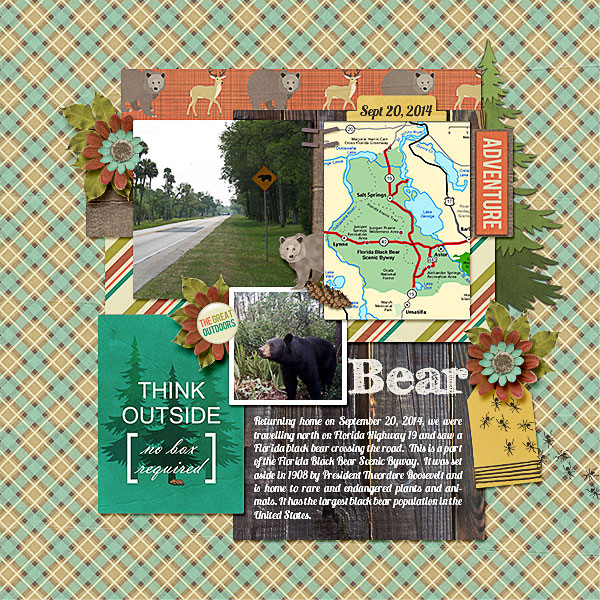 Bear Adventure