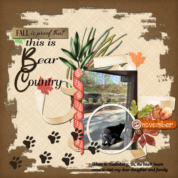 Bear Country