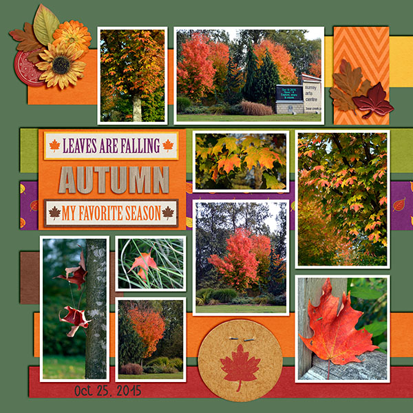 Bear Creek Park Oct 2015 Left