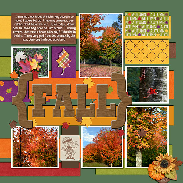 Bear Creek Park Oct 2015 Right