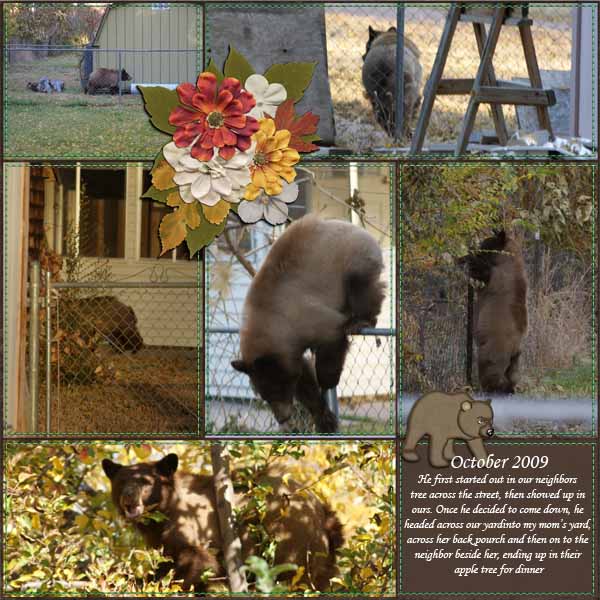Bear Season