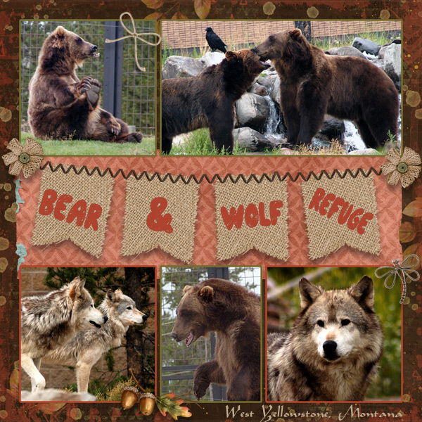 Bear + Wolf Refuge