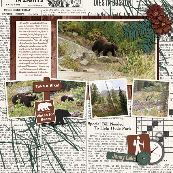 Bear!