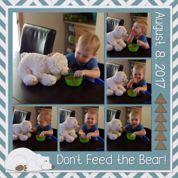 Bear