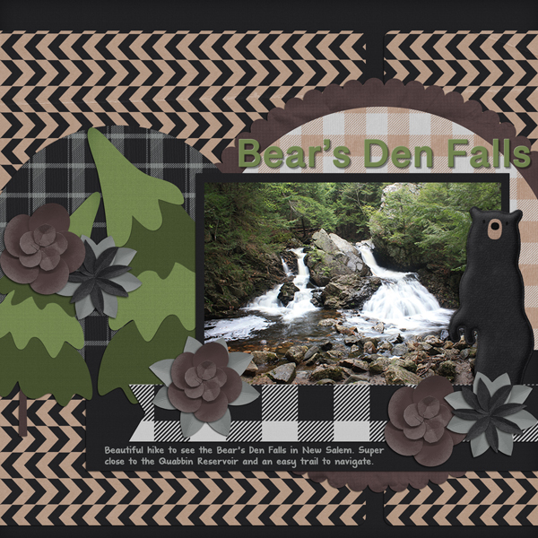 Bear