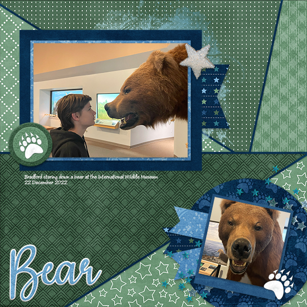 Bear