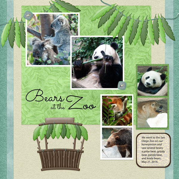 Bears at the Zoo
