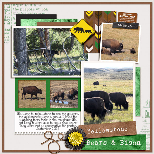 Bears + Bison