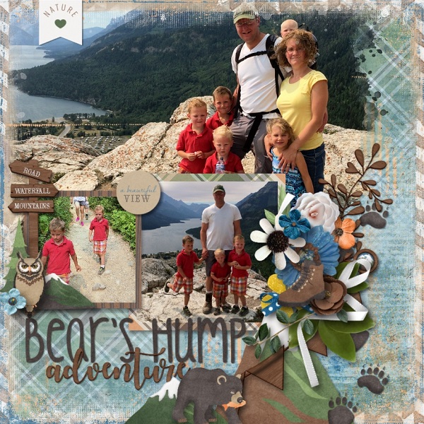 Bear's Hump
