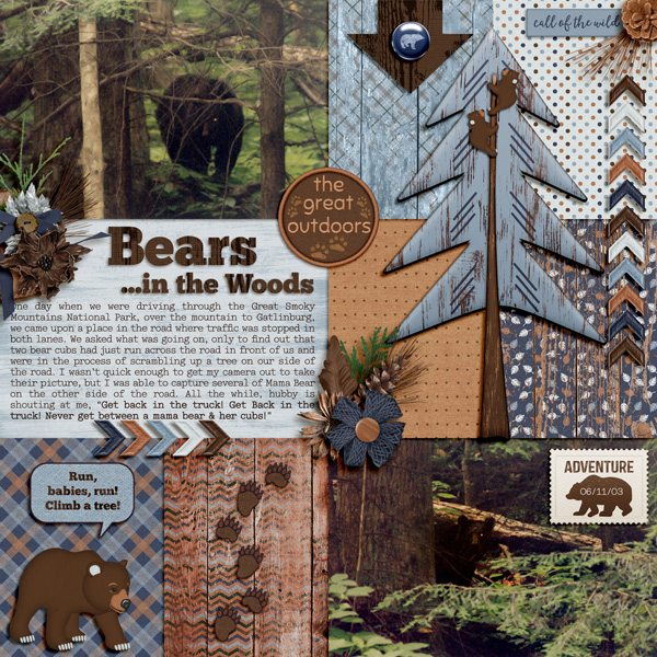 Bears...in the Woods