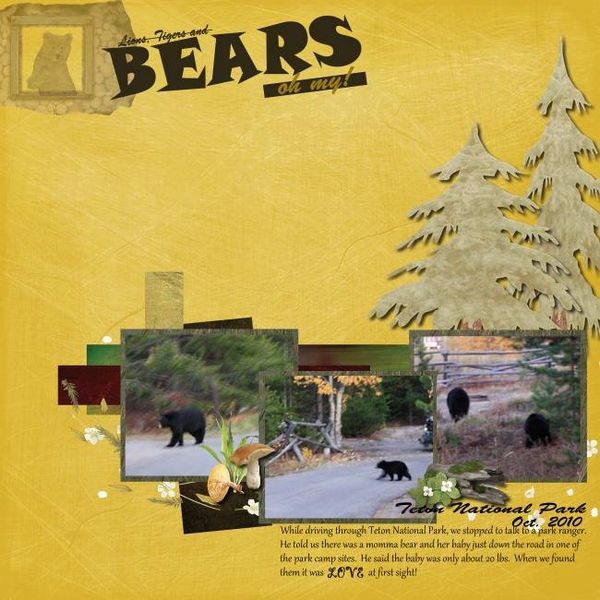 Bears, oh my!