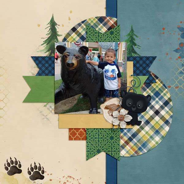 Bears