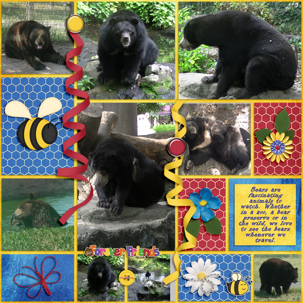 Bears