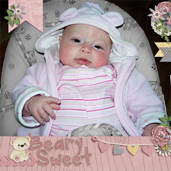 Beary Sweet