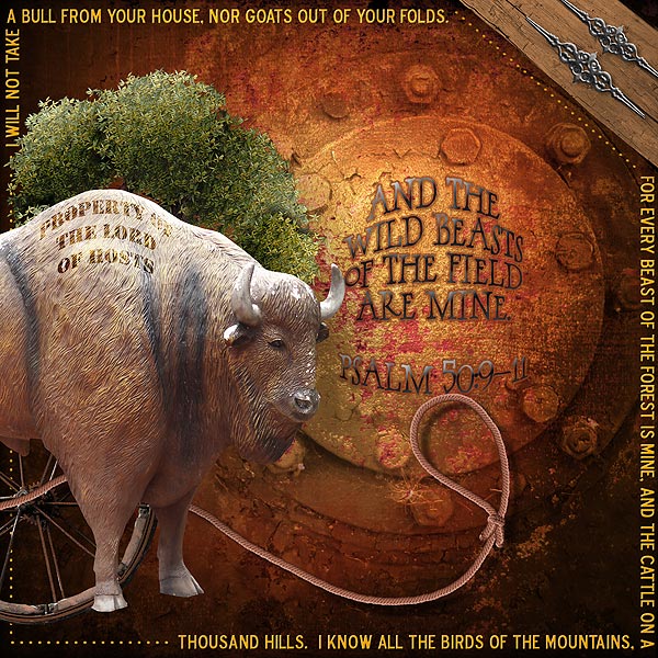 Beasts of the Field