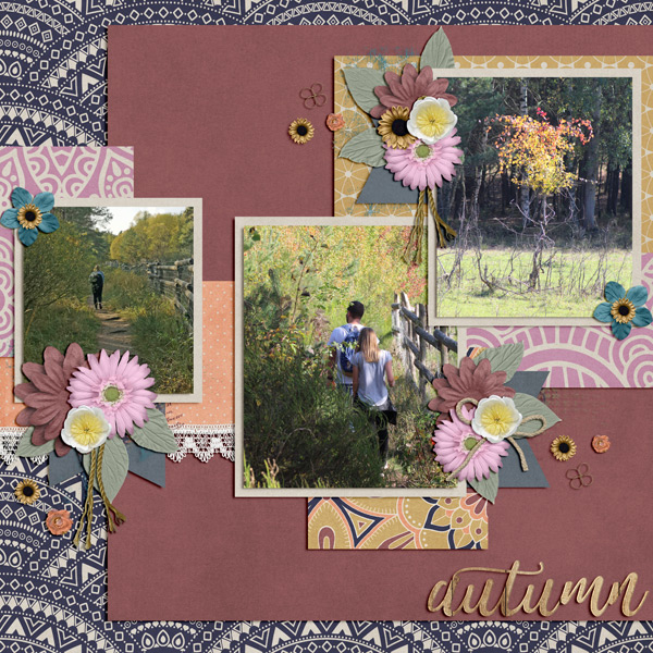 beatiful fall