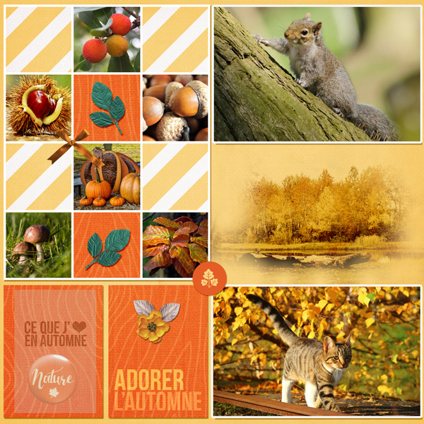 Beautiful Automne