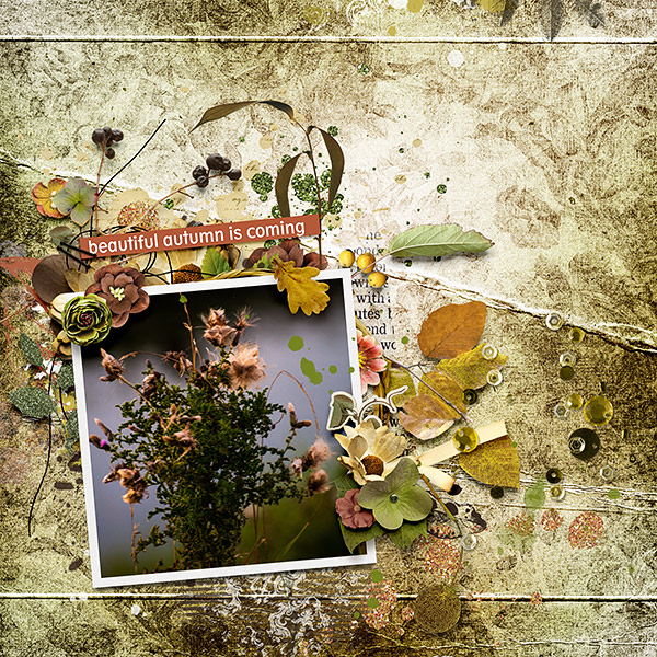 Beautiful Autumn is Coming