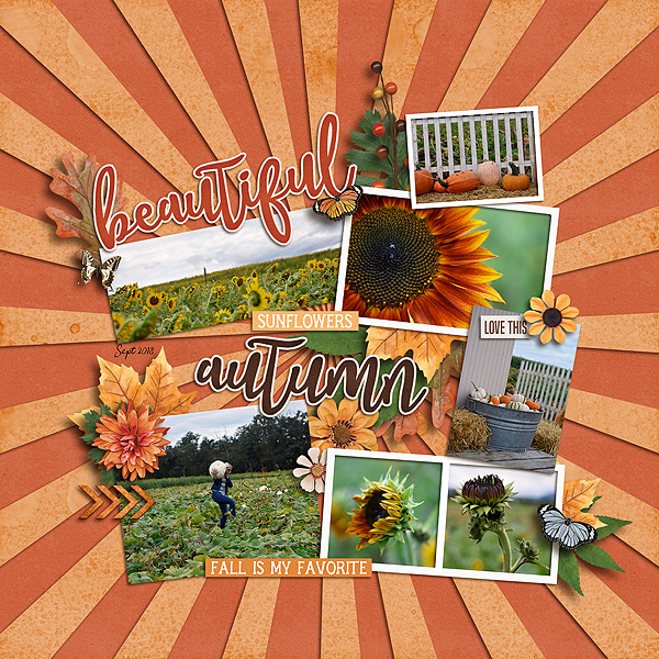 Beautiful Autumn