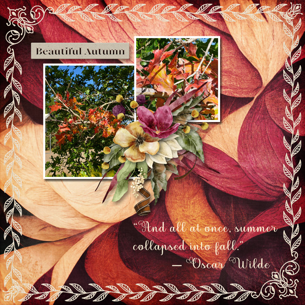 Beautiful Autumn