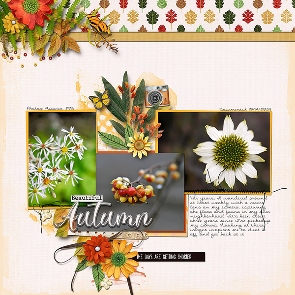 Beautiful Autumn