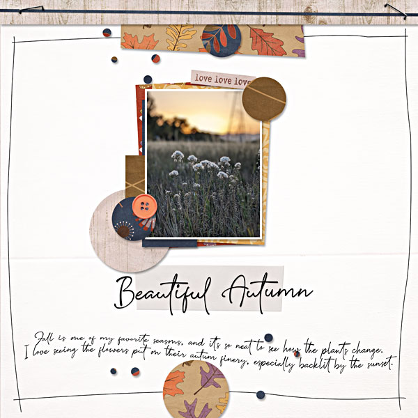 Beautiful Autumn