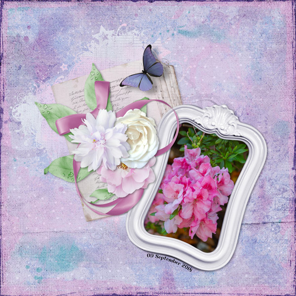 Beautiful Azalea