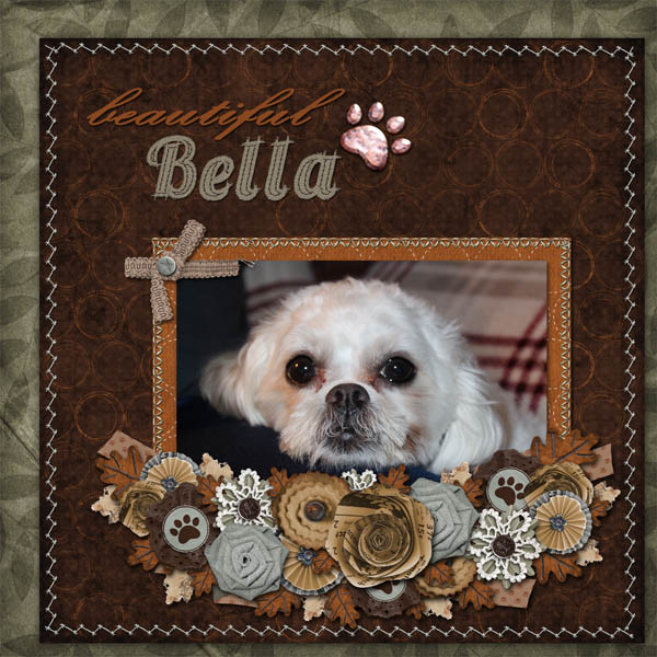 Beautiful Bella