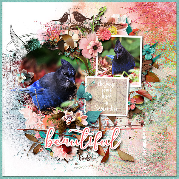 Beautiful Birds